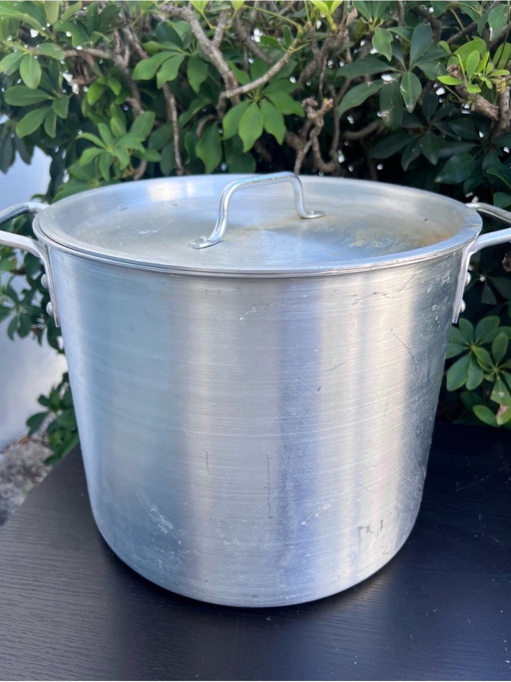 Aluminum Stock Pot with Lid - Silver
